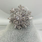 Ring Silver Revolving