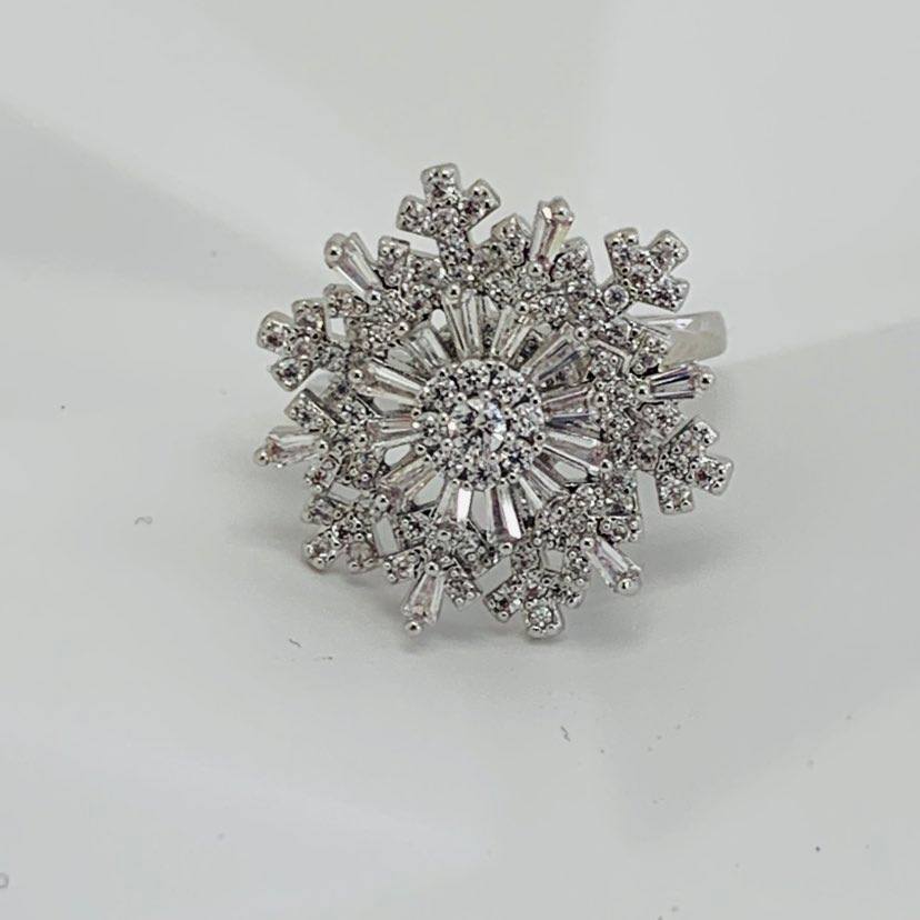Ring Silver Revolving