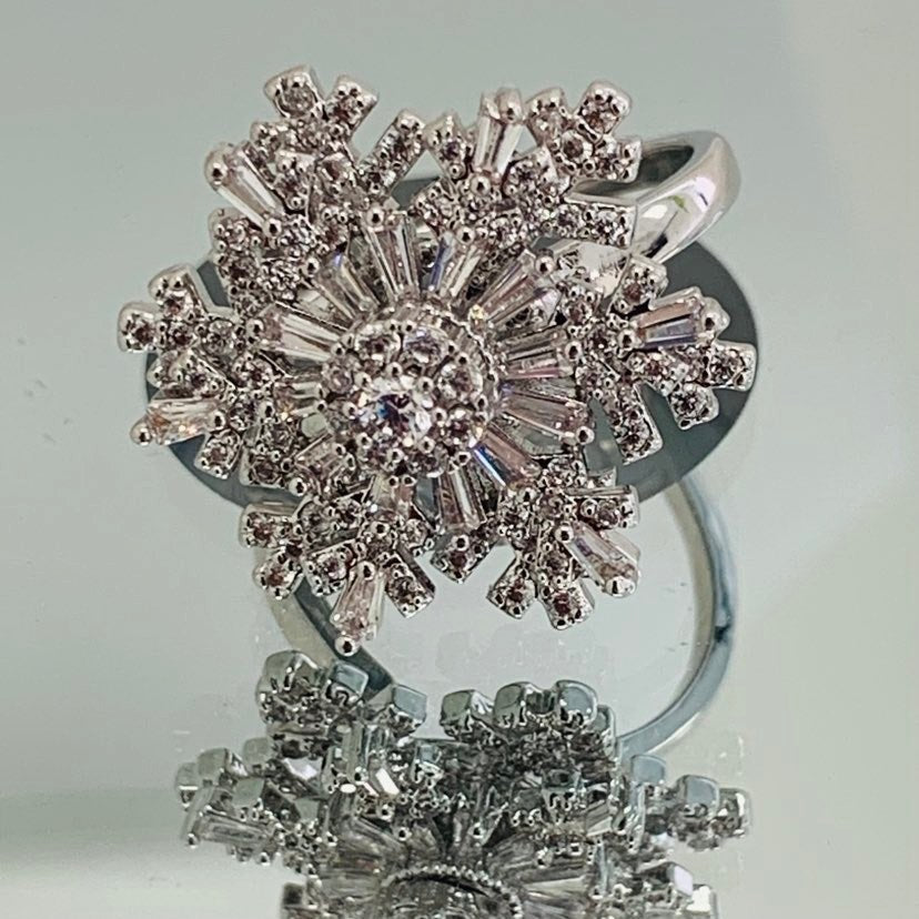 Ring Silver Revolving